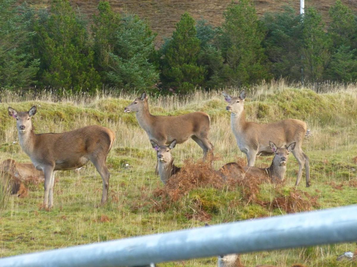 Stags View Holiday Home Portree Eksteriør billede