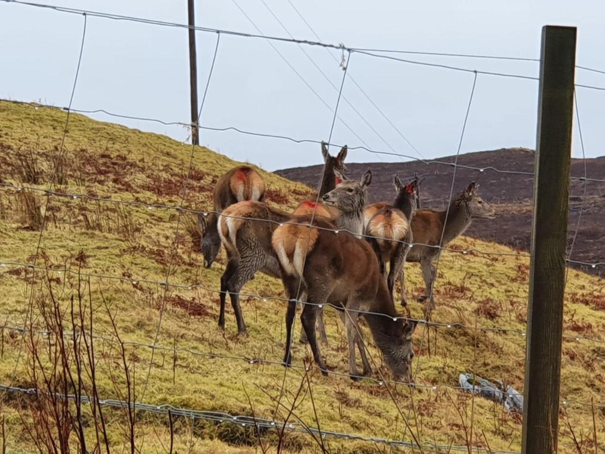 Stags View Holiday Home Portree Eksteriør billede